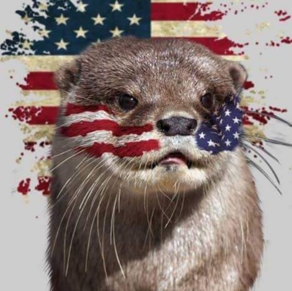 Meet your Posher, Kimberleigh